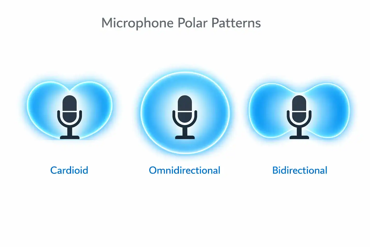 Infográfico de Padrões de Captação Polar